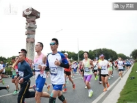 2024深圳南山马拉松